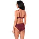 Plain Mold T-Shirt Bra SET-Bra-Maroon - Image 2