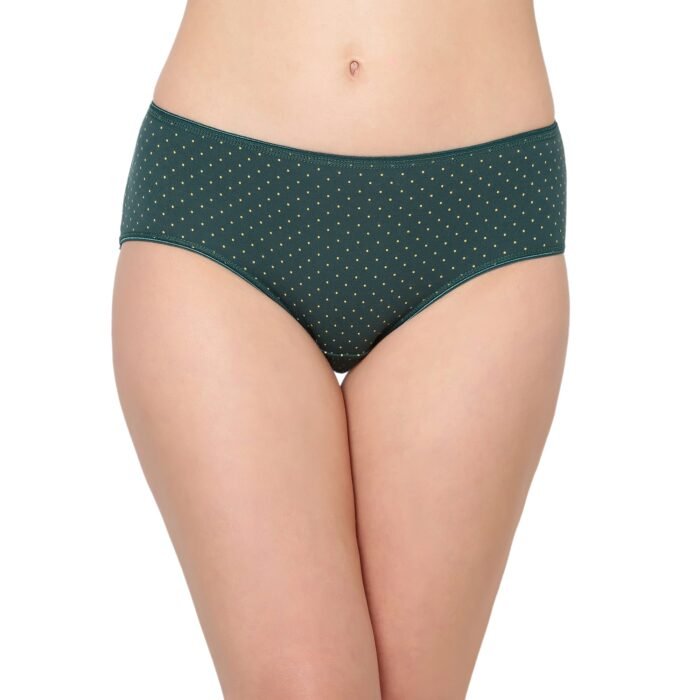 Cotton lycra Hipster Panties-6391