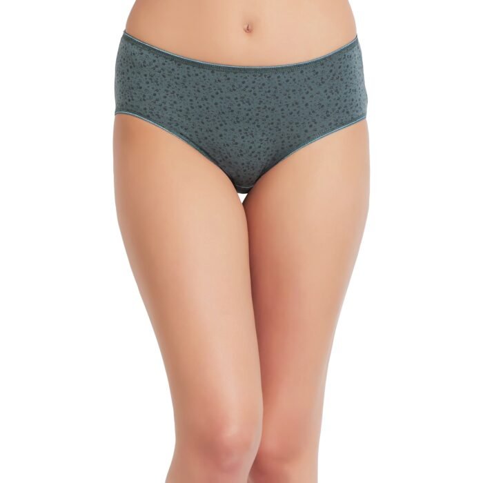 Cotton lycra Hipster Panties-6639