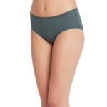 Cotton lycra Hipster Panties-6639