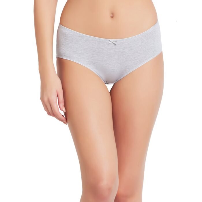 Cotton lycra Hipster Panties-6649