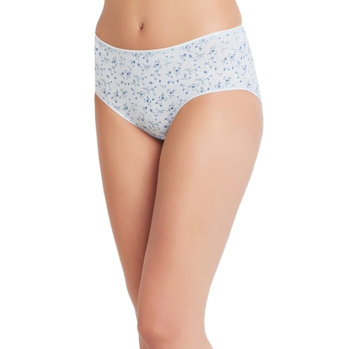 Cotton lycra Hipster Panties-6664