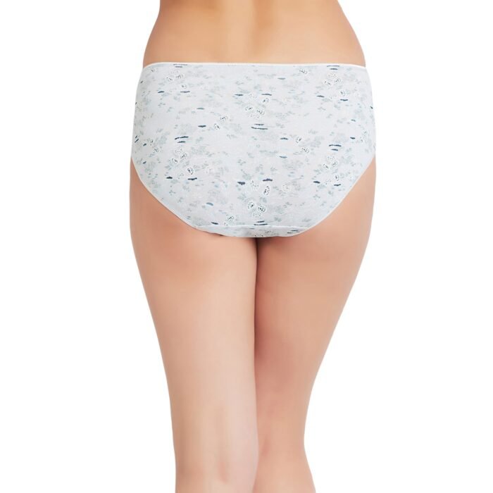 Cotton lycra Hipster Panties-6673