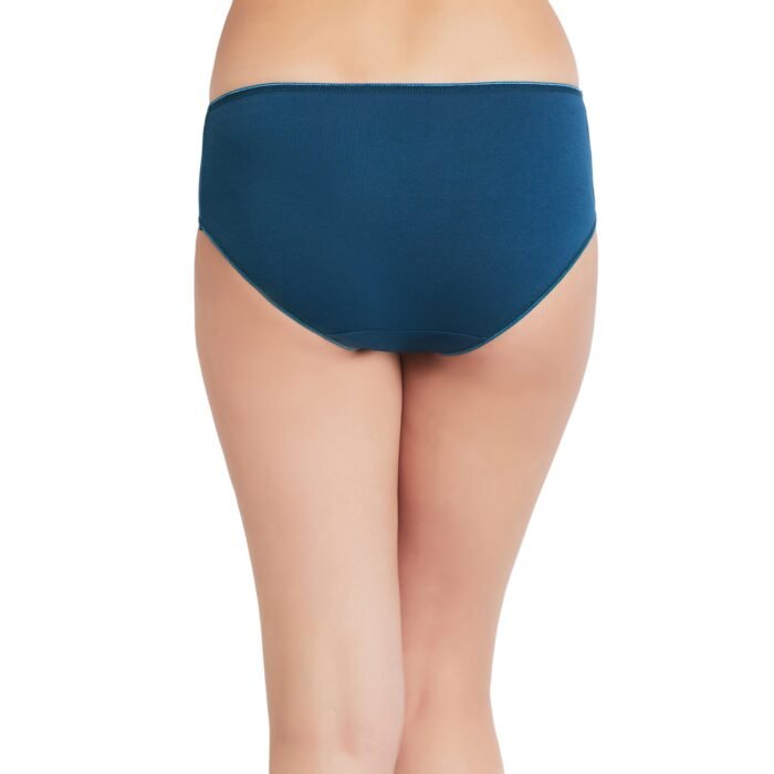 Cotton lycra Hipster Panties-6673