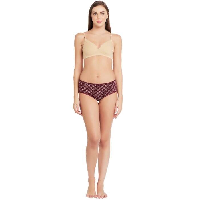 Cotton lycra Hipster Panties-6683