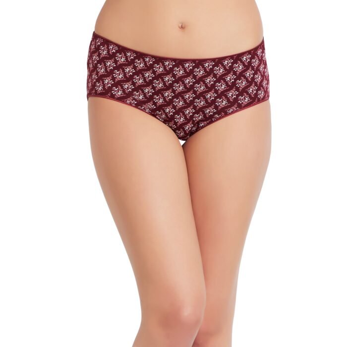 Cotton lycra Hipster Panties-6683