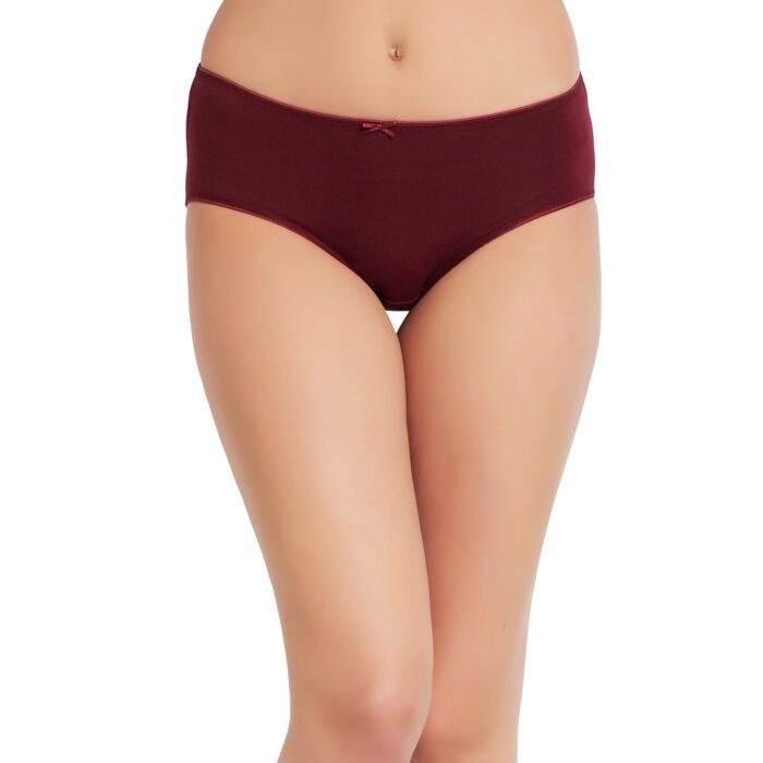 Cotton lycra Hipster Panties-6683