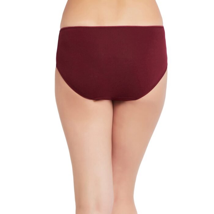 Cotton lycra Hipster Panties-6683