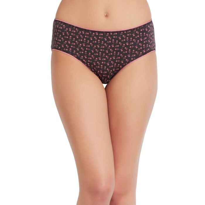 Cotton lycra Hipster Panties-6685