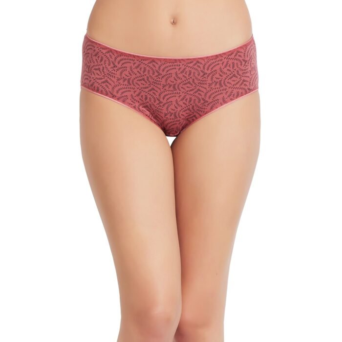 Cotton lycra Hipster Panties-6685