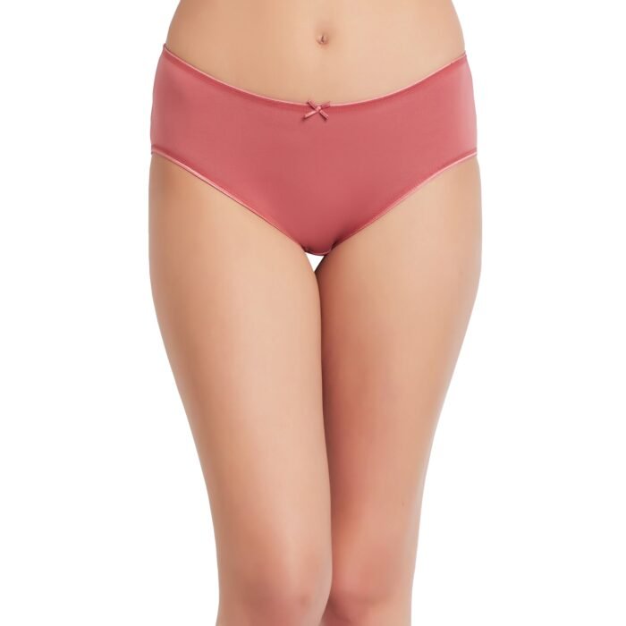 Cotton lycra Hipster Panties-6685