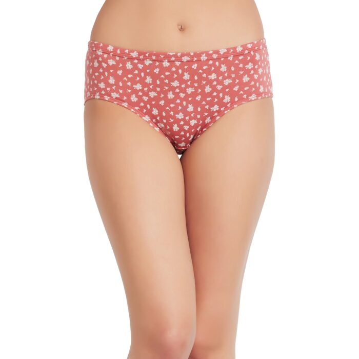 Cotton Printed Hipster Regular Panties-Multicolor - Image 2