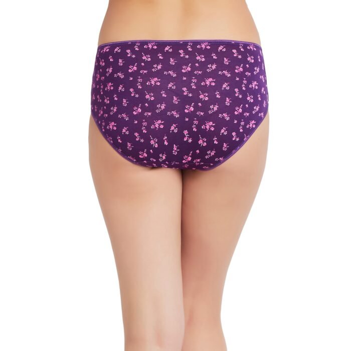 Cotton Printed Hipster Regular Panties-Multicolor - Image 3