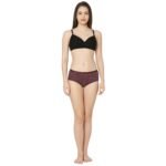 Cotton lycra Hipster Panties-6884