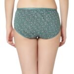 Cotton lycra Hipster Panties-6892