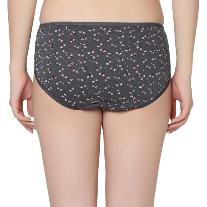 Cotton lycra Hipster Panties-6902