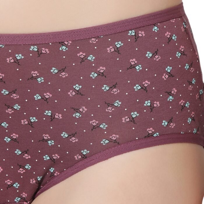 Cotton lycra Hipster Panties-6902