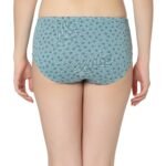 Cotton lycra Hipster Panties-6989