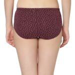 Cotton lycra Hipster Panties-6994