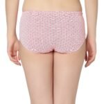 Cotton lycra Hipster Panties-6995