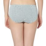 Cotton lycra Hipster Panties-6995