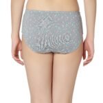 Cotton lycra Hipster Panties-7003