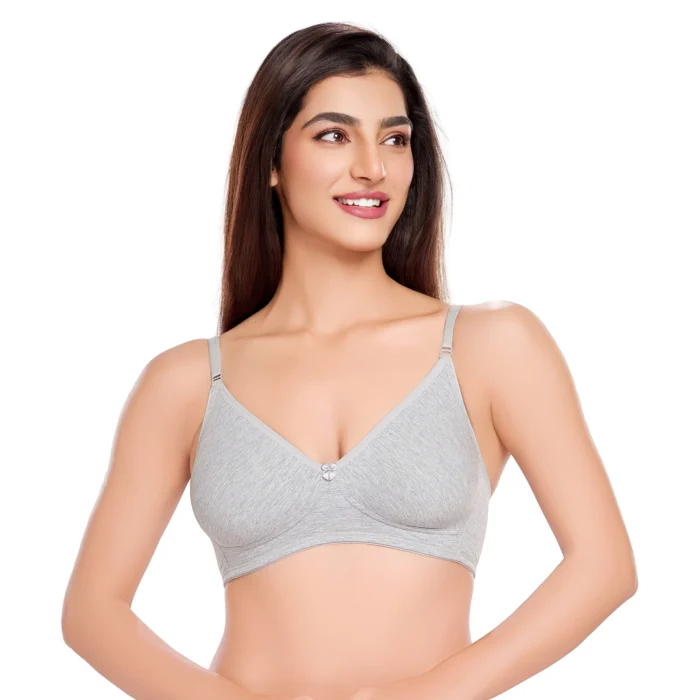 Dipti - Shaping Comfort T-shirt Bra - Image 1