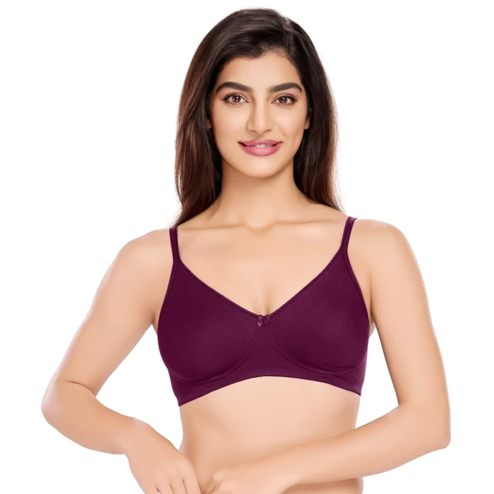 Cotton Lycra Non-Padded Wire Free T-Shirt Bra - Image 1