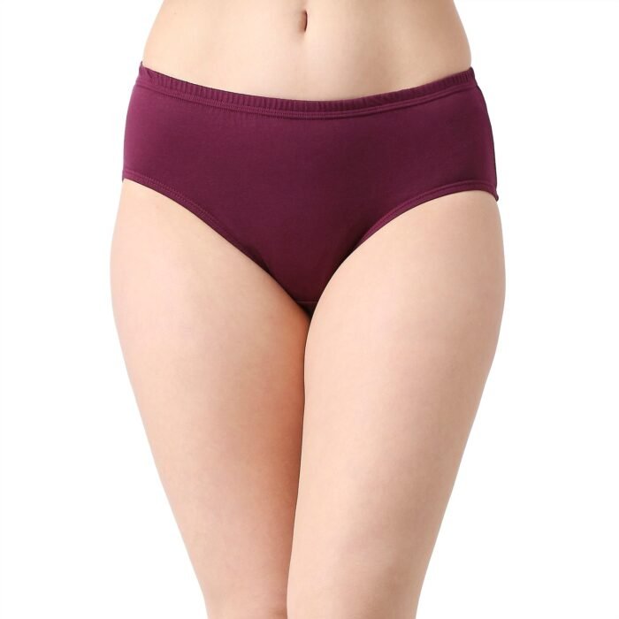 Cotton Hipster Panties Soch Das 4
