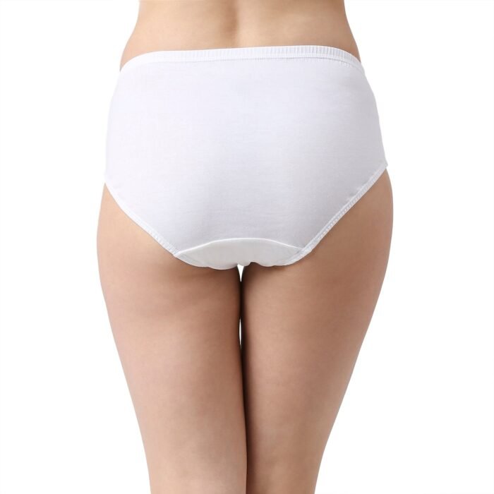 Cotton Hipster Panties Soch Eas 10